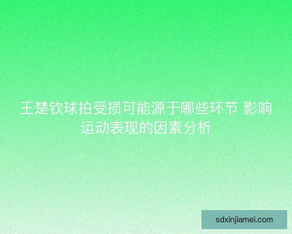 王楚钦球拍受损可能源于哪些环节 影响运动表现的因素分析