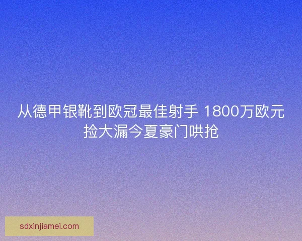从德甲银靴到欧冠最佳射手 1800万欧元捡大漏今夏豪门哄抢
